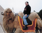 china_camel.jpg