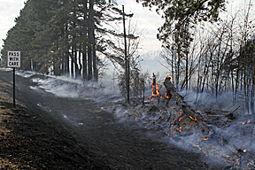 grassfire11
