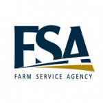 fsa_blue_gold_rgb1 fsa_blue_gold_rgb1