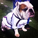 bully I visited with Bully much of the game. Photo by Joel McNeece