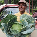Cabbage Cabbage