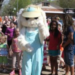 IMG_8506 IMG_8506