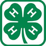 4H 4H