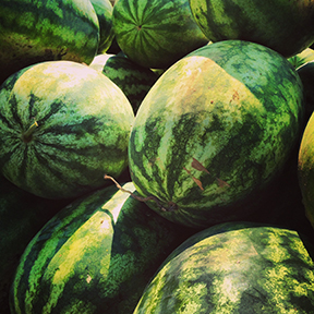 watermelon