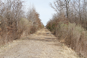 skuna valley trail34