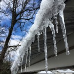 ccj ice ccj ice