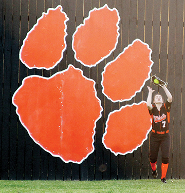 lady wildcats softball